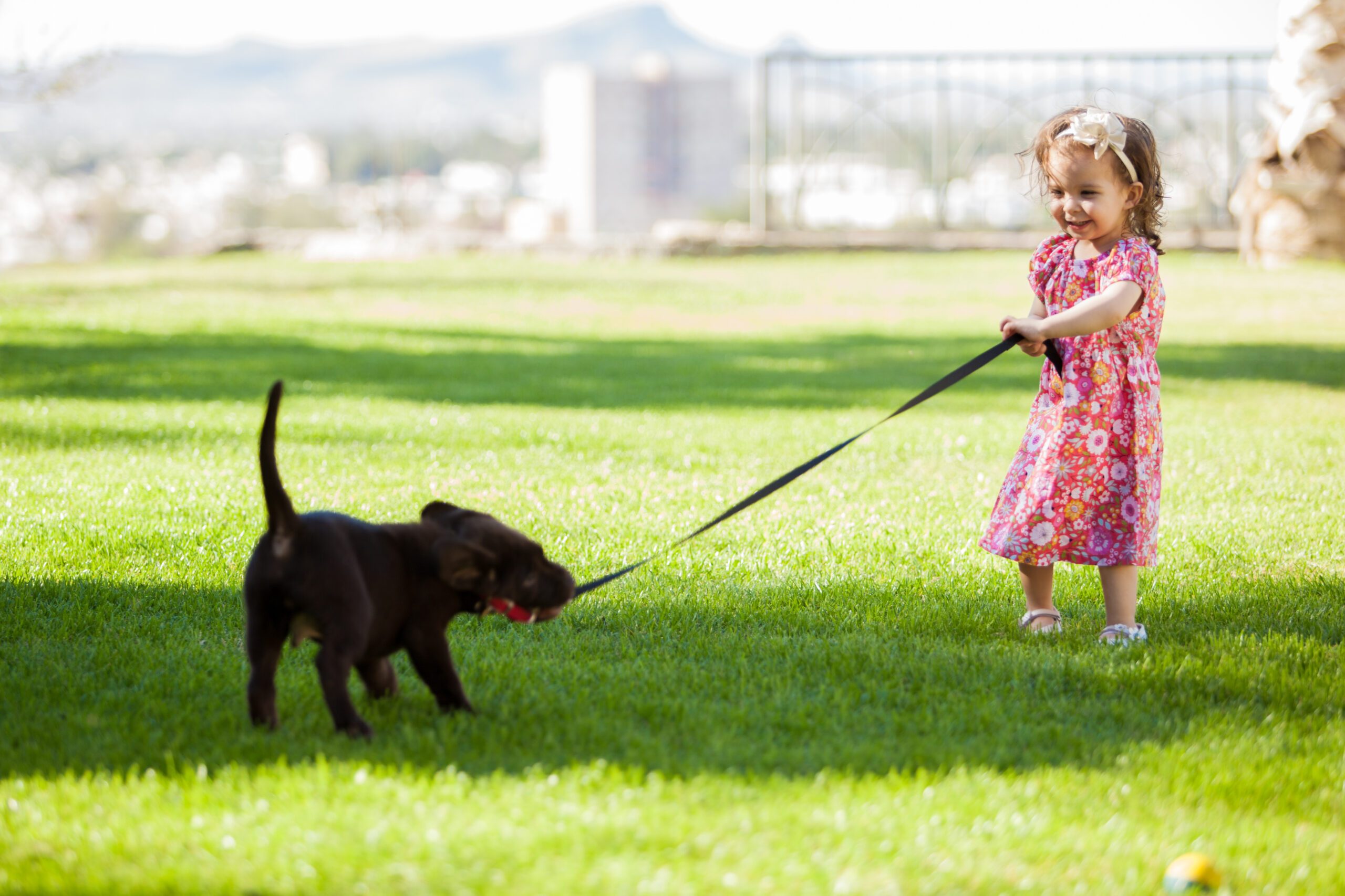 Arriva un Cucciolo – La linea Pet di Mafra