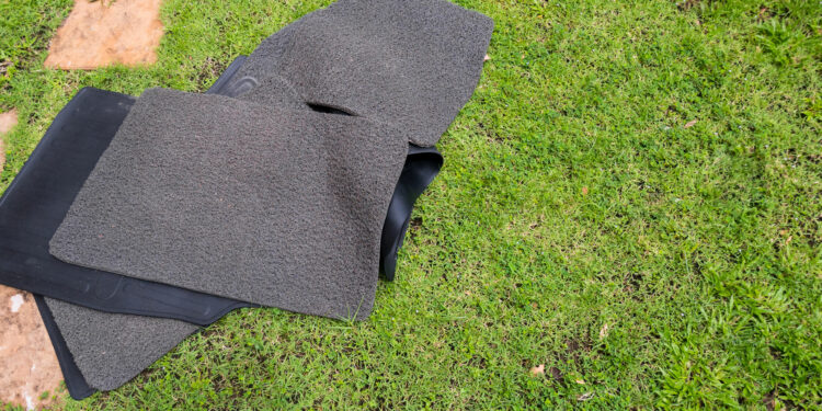 69218703 - carpet cleaning car on grassbackground