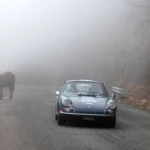 coppa dei lupi